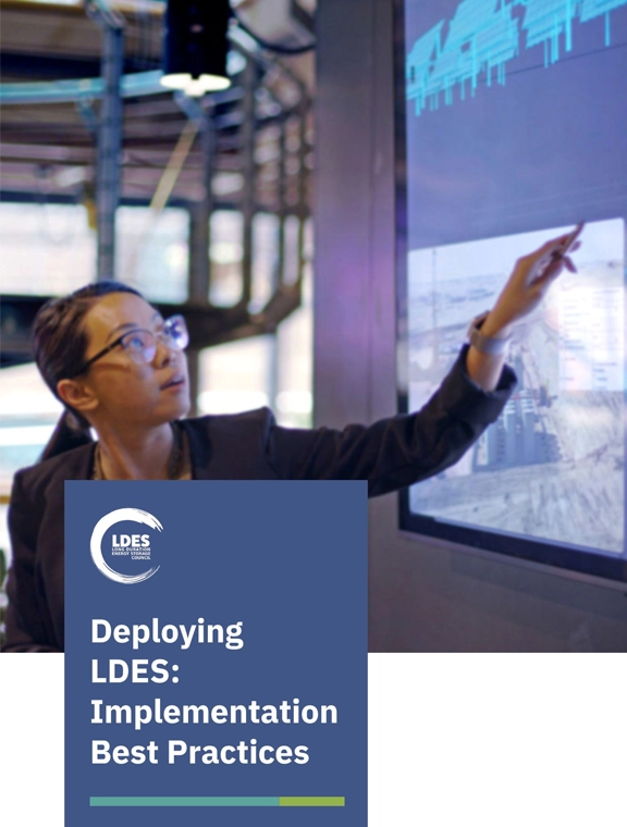 LDES Best Practices