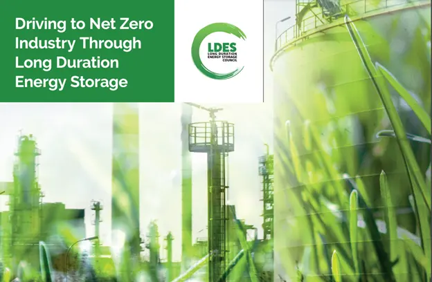 LDES Net Zero Report